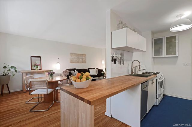 110 Draper Lane 2DS, Dobbs Ferry, NY 10522