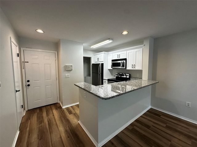 4115 CHATHAM OAK COURT 209, Tampa, FL 33624