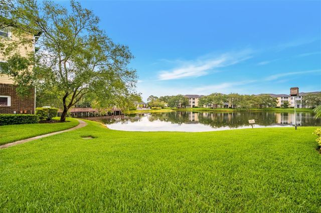 4115 CHATHAM OAK COURT 209, Tampa, FL 33624
