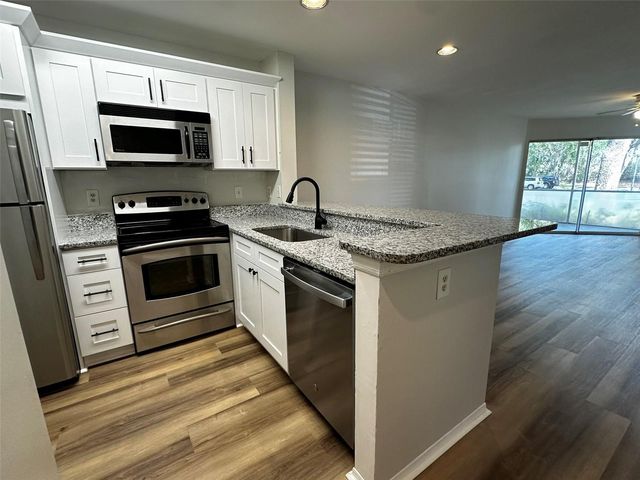 4115 CHATHAM OAK COURT 209, Tampa, FL 33624