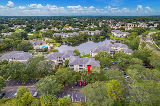 4115 CHATHAM OAK COURT 209, Tampa, FL 33624