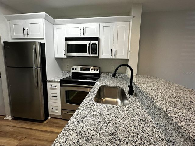 4115 CHATHAM OAK COURT 209, Tampa, FL 33624