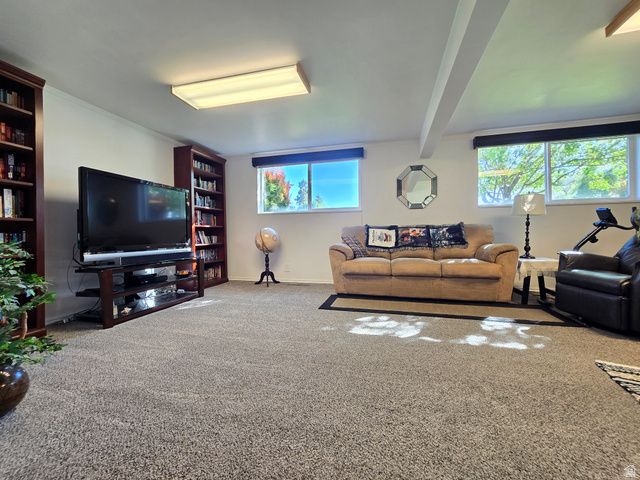 610 HOLIDAY DR, Brigham City, UT 84302