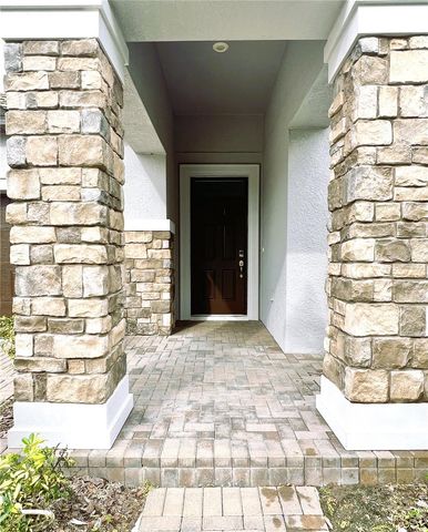 11822 FROST ASTER DRIVE, Riverview, FL 33579