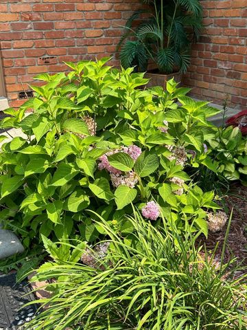 5470 Cheltenham Drive, Troy, MI 48098