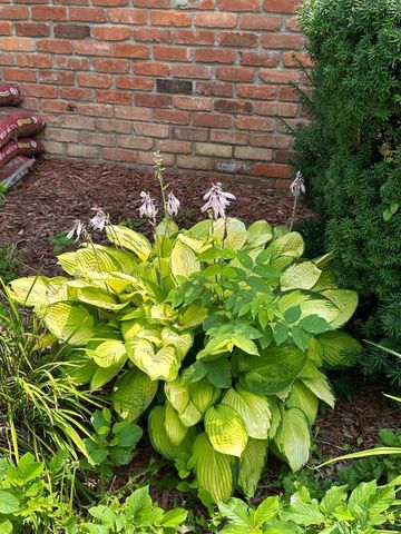 5470 Cheltenham Drive, Troy, MI 48098