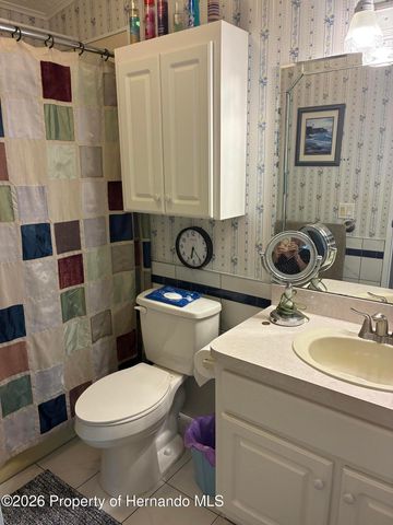 15581 Brookridge Boulevard, Brooksville, FL 34613