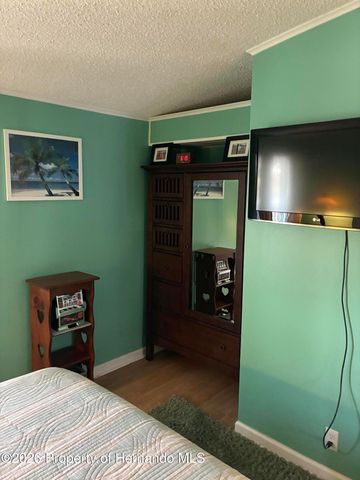 15581 Brookridge Boulevard, Brooksville, FL 34613