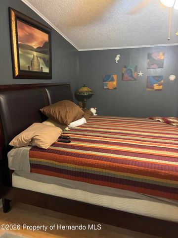 15581 Brookridge Boulevard, Brooksville, FL 34613