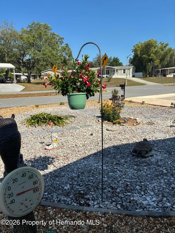 15581 Brookridge Boulevard, Brooksville, FL 34613