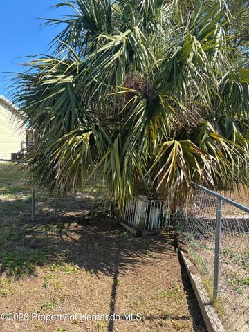 15581 Brookridge Boulevard, Brooksville, FL 34613