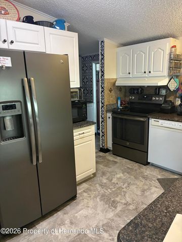 15581 Brookridge Boulevard, Brooksville, FL 34613