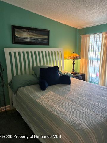 15581 Brookridge Boulevard, Brooksville, FL 34613