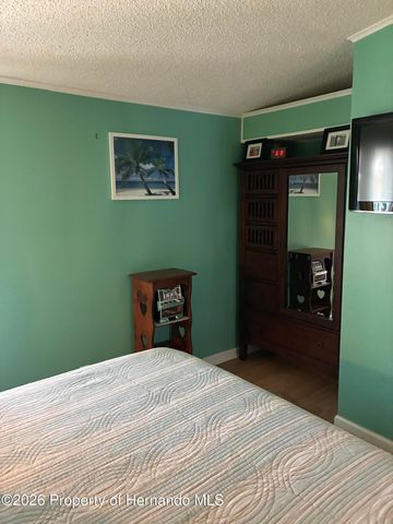 15581 Brookridge Boulevard, Brooksville, FL 34613