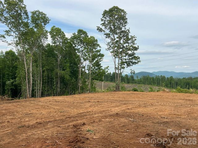 TBD Vein Mountain Road 4, Nebo, NC 28761
