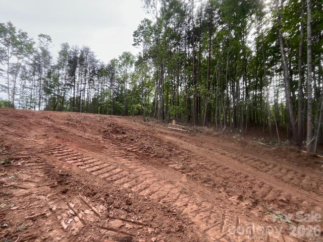 TBD Vein Mountain Road 4, Nebo, NC 28761