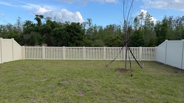 17602 PLEASANTVIEW BOULEVARD, Land O Lakes, FL 34638