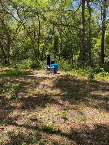 36064 BUTTERNUT DRIVE, Webster, FL 33597