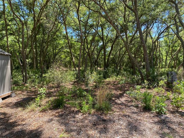 36064 BUTTERNUT DRIVE, Webster, FL 33597