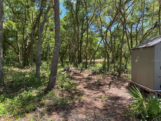 36064 BUTTERNUT DRIVE, Webster, FL 33597