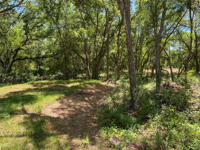 36064 BUTTERNUT DRIVE, Webster, FL 33597