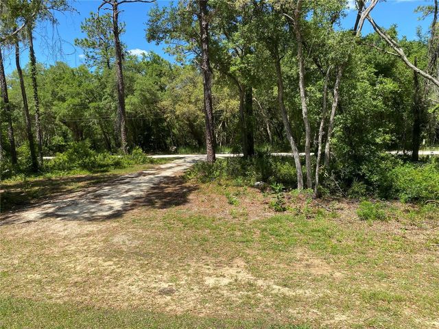 36064 BUTTERNUT DRIVE, Webster, FL 33597