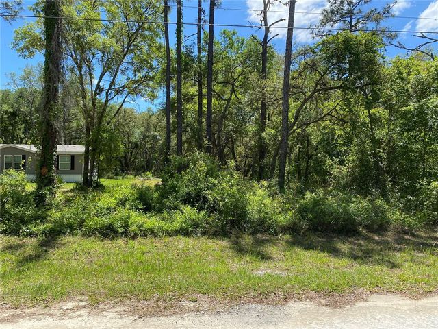 36064 BUTTERNUT DRIVE, Webster, FL 33597