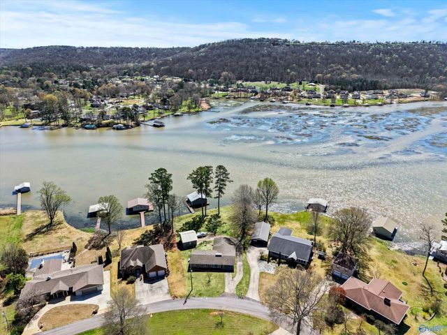 3825 Meadow Wood Circle, Guntersville, AL 35976