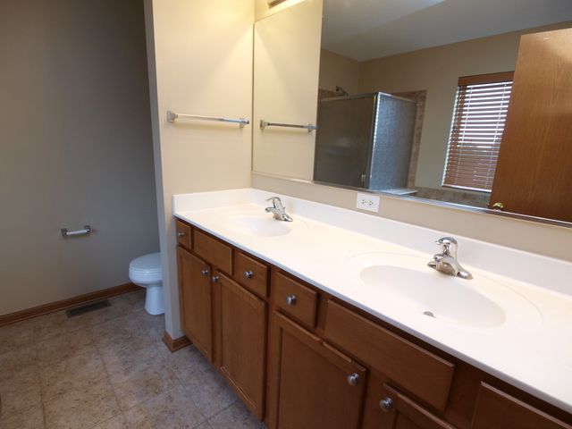 8116 BLUESTEM Avenue, Joliet, IL 60431