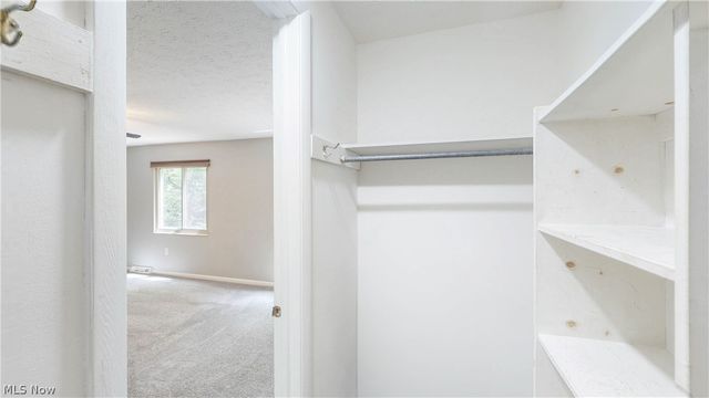 19533 Idlewood Trail 20-1, Strongsville, OH 44149