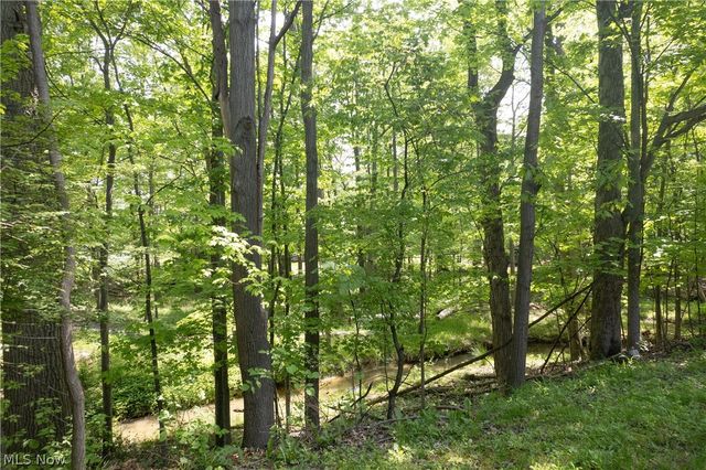 19533 Idlewood Trail 20-1, Strongsville, OH 44149