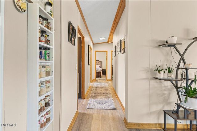 125 Astor Bowers Road, Greeneville, TN 37743