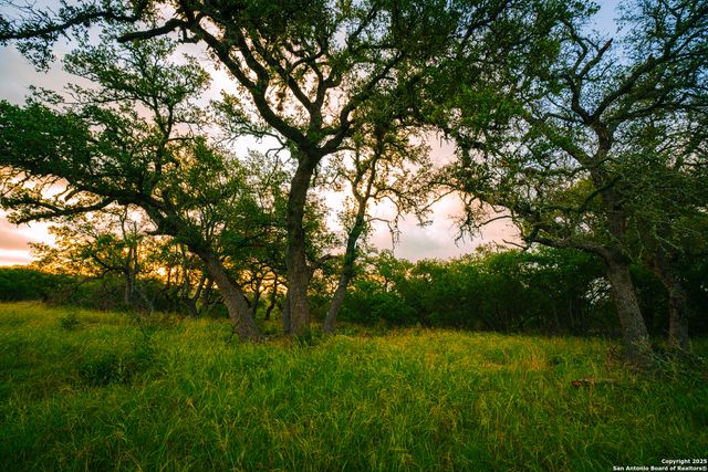 000 Lone Oak Hollow, Spring Branch, TX 78070