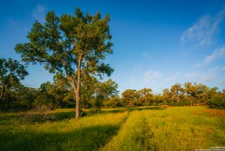 000 Lone Oak Hollow, Spring Branch, TX 78070