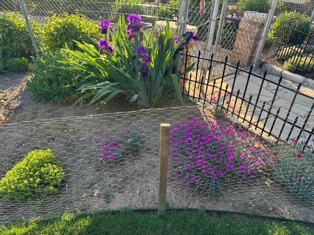 1702 Simpson Ave, Winfield, KS 67156