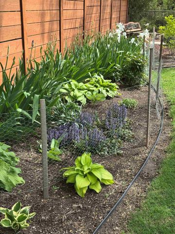 1702 Simpson Ave, Winfield, KS 67156