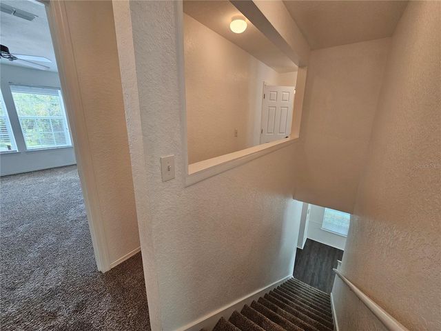 16309 FAIRFORD PALMS COURT, Tampa, FL 33647