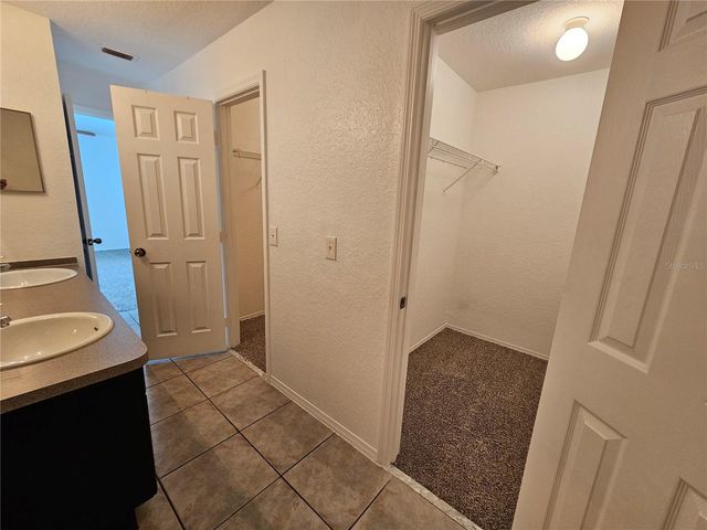 16309 FAIRFORD PALMS COURT, Tampa, FL 33647