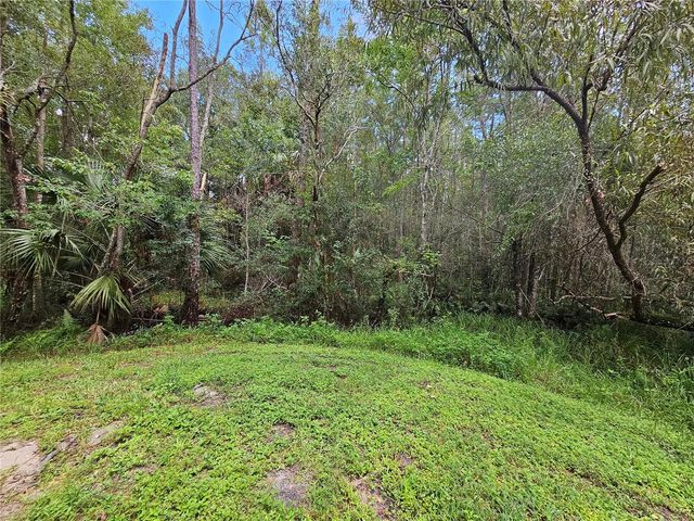 16309 FAIRFORD PALMS COURT, Tampa, FL 33647