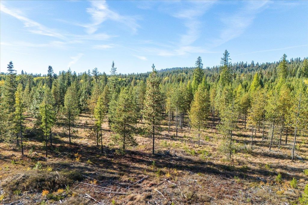 NKA Coyote Trail Trl, Newport, WA 98156 photo 14