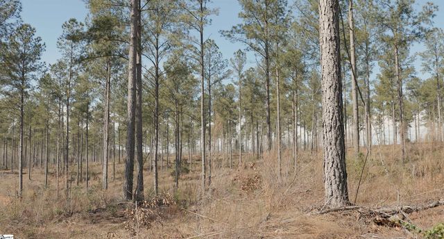 338 Berry Road, Pelzer, SC 29669