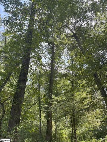 338 Berry Road, Pelzer, SC 29669