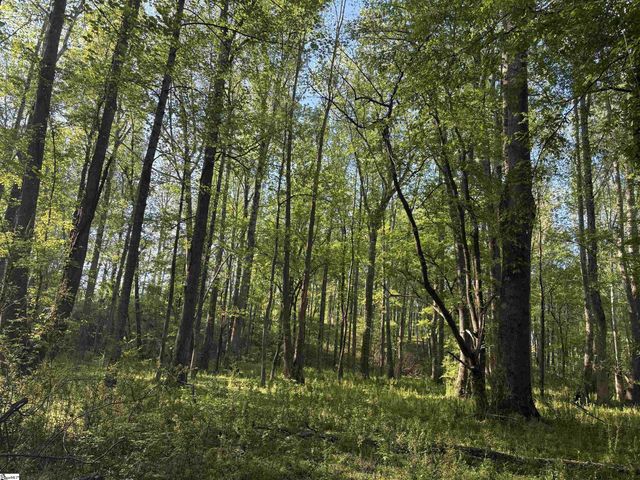 338 Berry Road, Pelzer, SC 29669