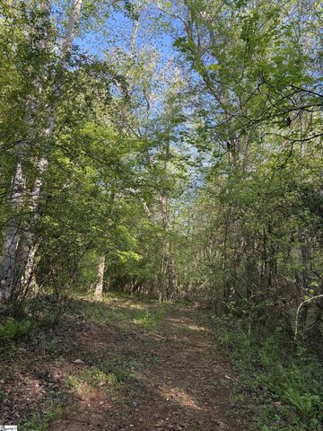 338 Berry Road, Pelzer, SC 29669