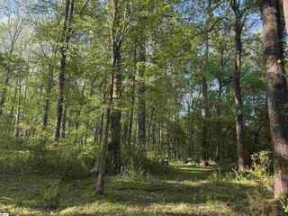 338 Berry Road, Pelzer, SC 29669