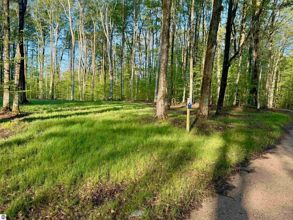 Image 3 of property listing at 02 S Bright Road, Maple City, MI 49664