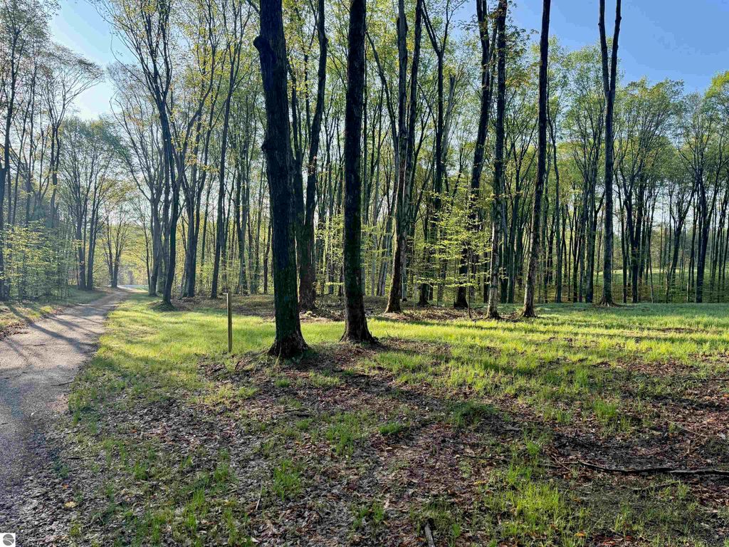 Image 4 of property listing at 02 S Bright Road, Maple City, MI 49664