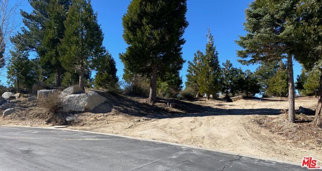 196 Mill Pond Road, Lake Arrowhead, CA 92352