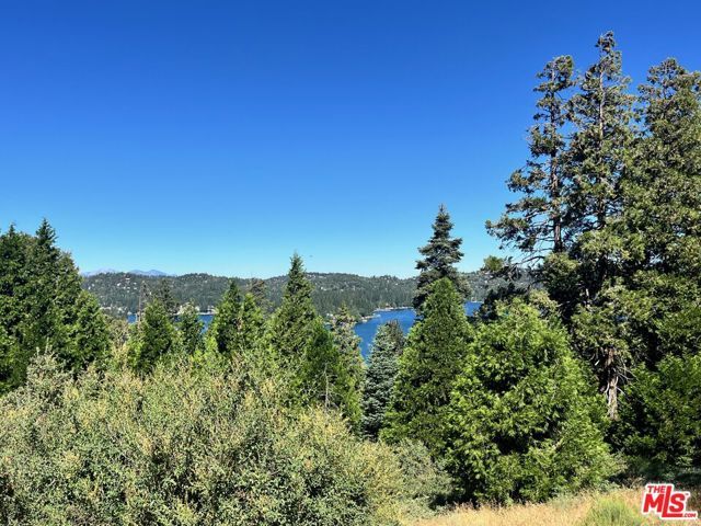 196 Mill Pond Road, Lake Arrowhead, CA 92352