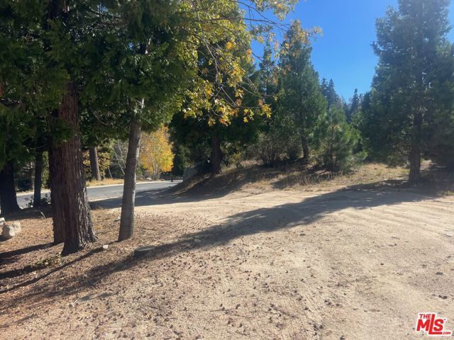 196 Mill Pond Road, Lake Arrowhead, CA 92352